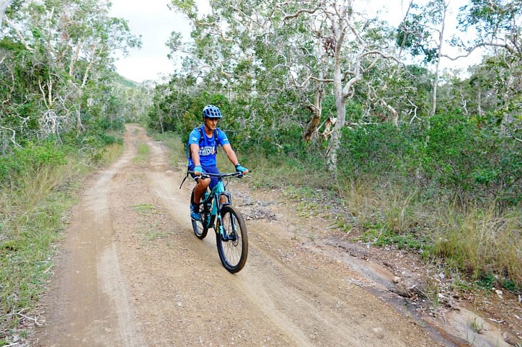 Piste VTT N°15 rouge “Vallée Taro”