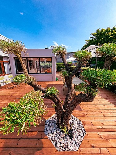 hotel-ibis-caen-porte-d-angleterre-cactus