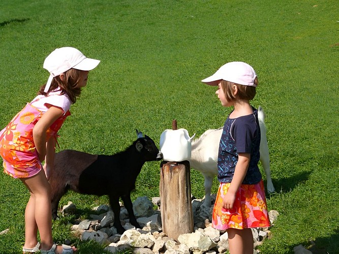 Famille au zoo de Cerza près de Lisieux