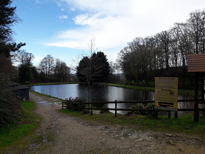 Etang-du-Point-du-jour-a-St-Germain-de-Tallevende--TIS-
