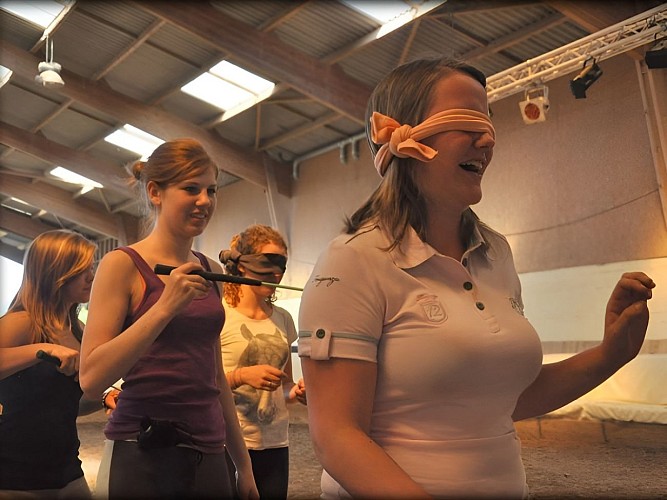 AEC Firfol Centre équestre près de Lisieux Comportement