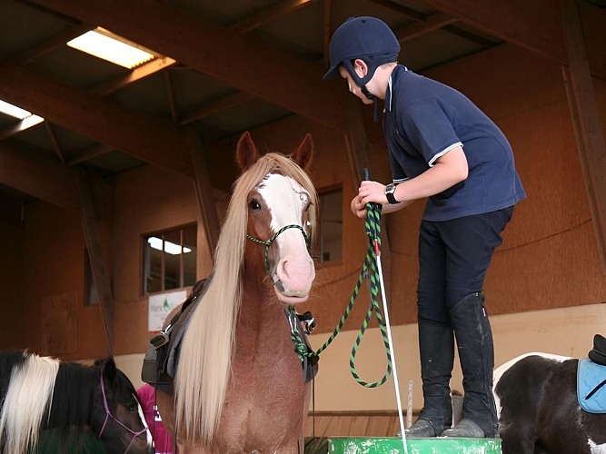 AEC Firfol Centre équestre près de Lisieux Copains