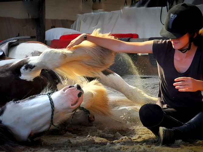 AEC Firfol Centre équestre près de Lisieux Friends