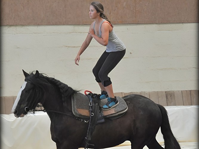 AEC Firfol Centre équestre près de Lisieux Voltige