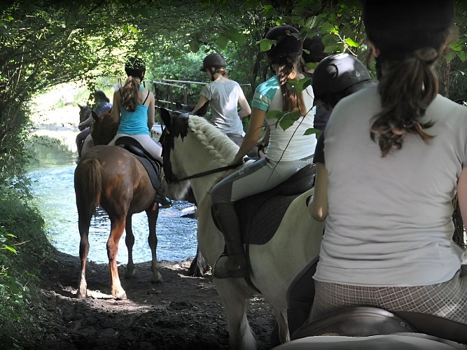 AEC Firfol Centre équestre près de Lisieux Balades en Pays d'Auge