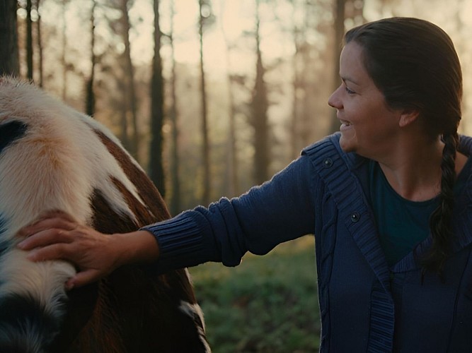 Petit nuage equicowching