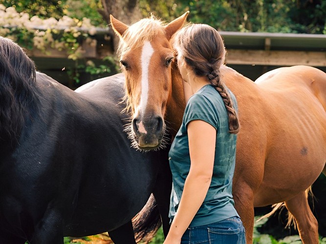 Petit nuage equicowching