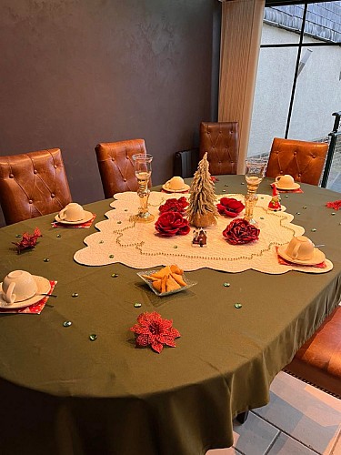 Gîte-la-fleur-de-seine-dajon-nathalie-meublé- villequier (3) (1)