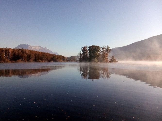Promènes toi avec Hyla
