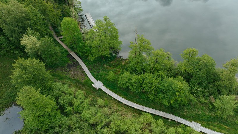 Promènes toi avec Hyla