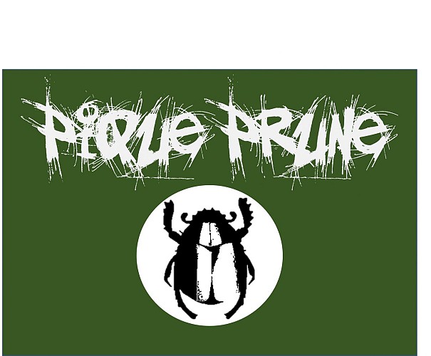 Logo Brasserie Pique-Prune