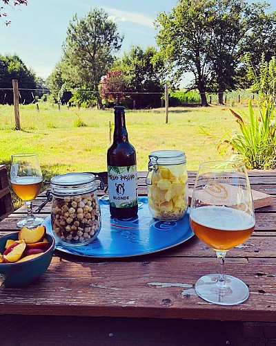 Dégustation à la Brasserie Pique-Prune