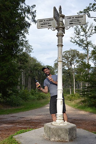 Brasserie Pique-Prune au coeur de la forêt de Bercé