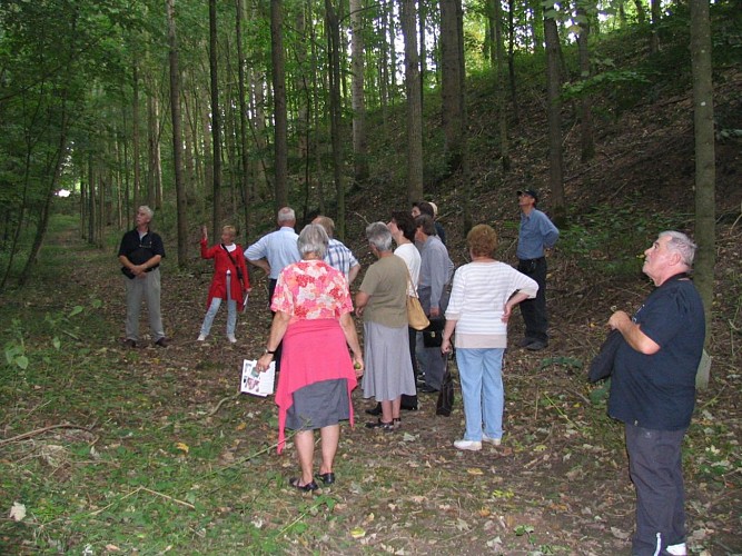 Site historique du Vieil-Hesdin