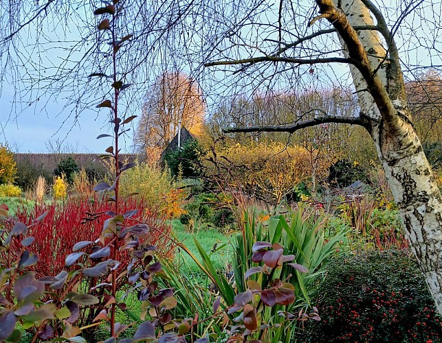 Le jardin de L'encas et L'échoppe