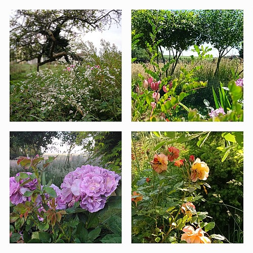 Le jardin de L'encas et L'échoppe