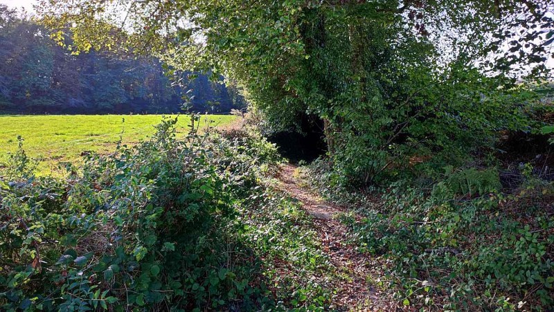 S'engager dans le tunnel