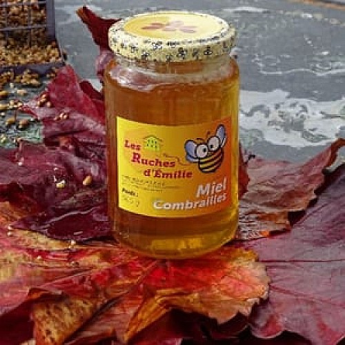 Miel-500g-gaecbouchet