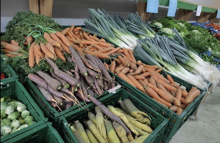 Capture d'écran 2023-10-20 105115
