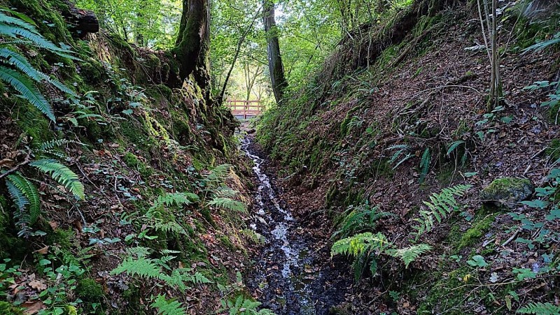 Souvent l'eau envahit le mitan