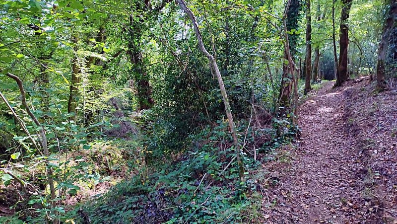 Contournement du chemin creux