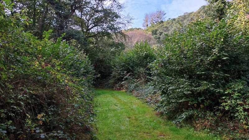 Poursuivre dans le chemin