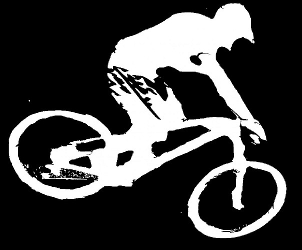 Logo rider Blanc site internet