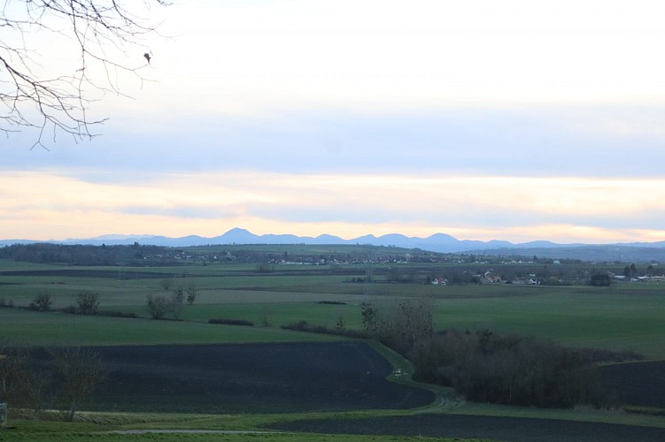 Église Sainte-Radegonde