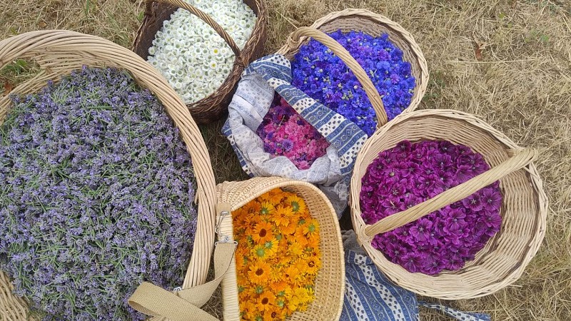 WhatsApp Image 2025-07-05 à 19.01.36_cc7be8d2