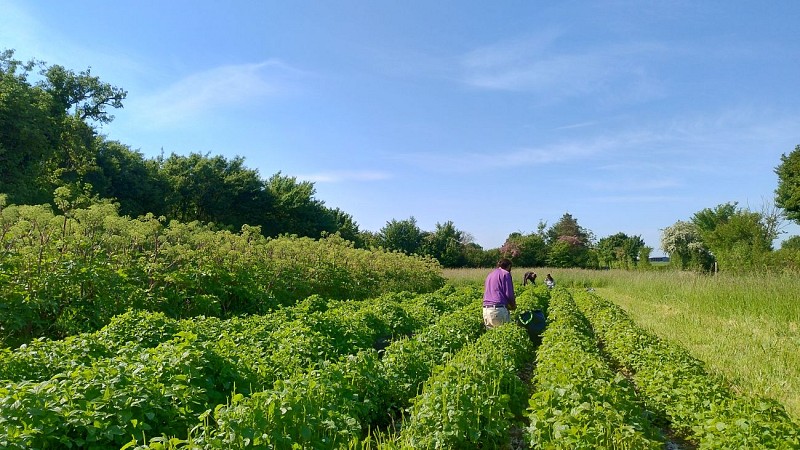 IMG_20250509_104447862_HDR