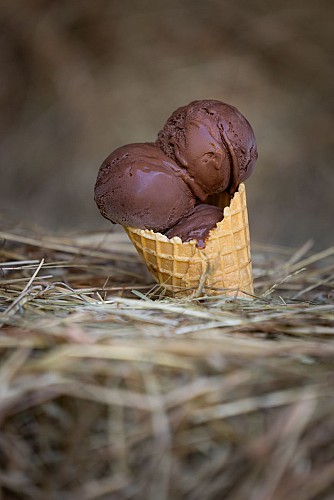 Les Délices de l'Air Marin, glacier artisanal