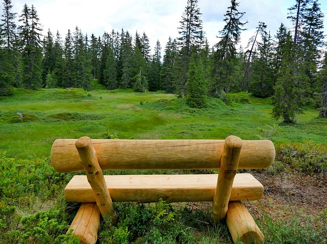 Peat bog nature reserve