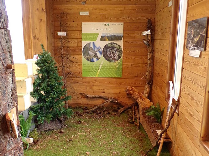Peat bog nature reserve