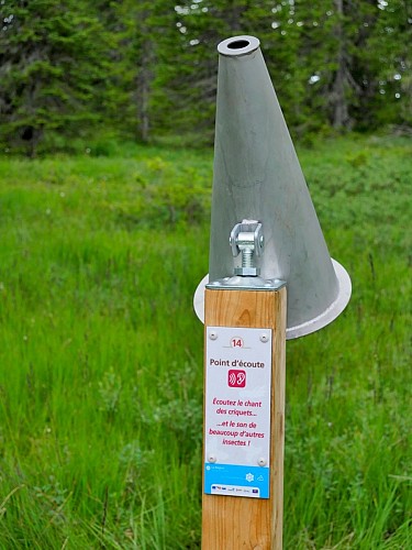 Peat bog nature reserve