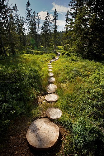 Regionaal natuurreservaat van het veen