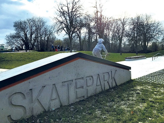 skateparktitre (91)