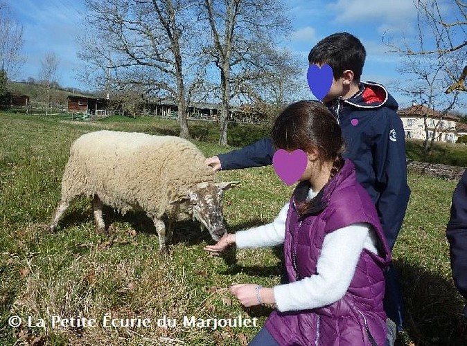 Gite_fam_Desante_220222_06