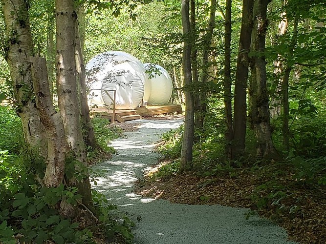 Mont-de-l'If_Bulles-du-Val-au-Cesne©Boulant_2022-9