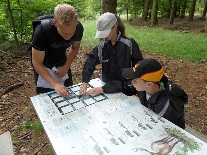 Caillebotis / Panneaux didactiques.