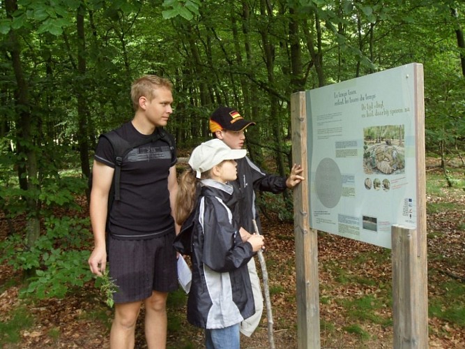 Caillebotis / Panneaux didactiques.