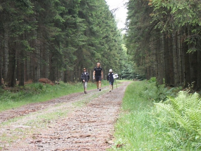 Variété des paysages