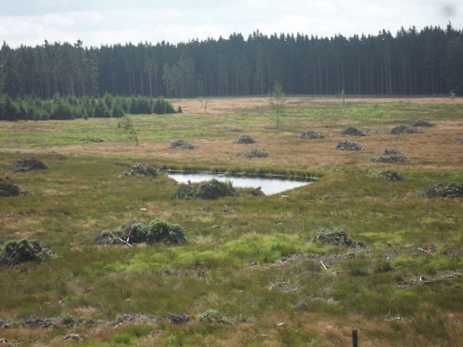 Variété des paysages