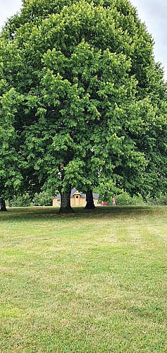 le kota des 3 tilleuls-juillet 2023 (55)