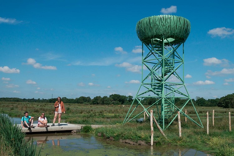 LE NID-OBSERVATOIRE DU MARAIS DU SYL
