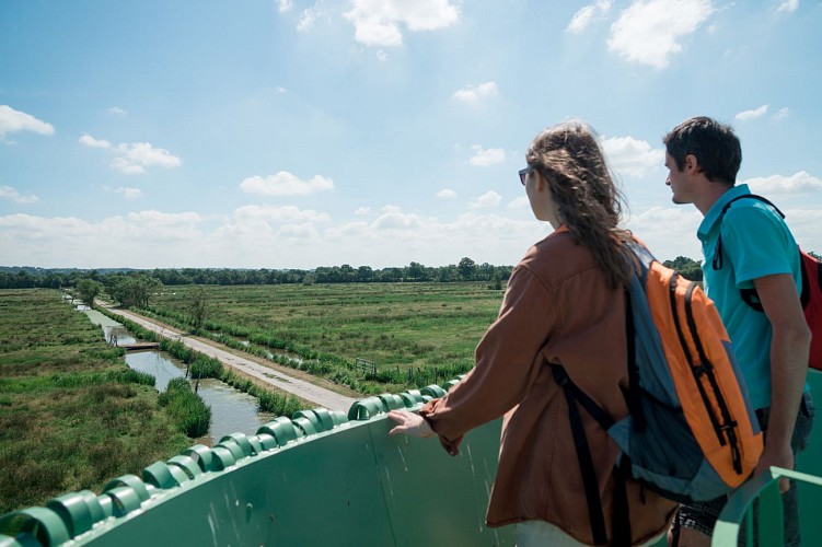 LE NID-OBSERVATOIRE DU MARAIS DU SYL