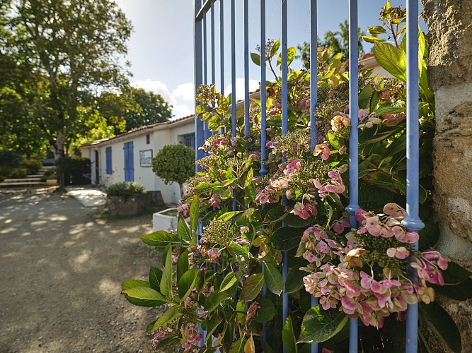JARDIN BOTANIQUE DE VAULIEU