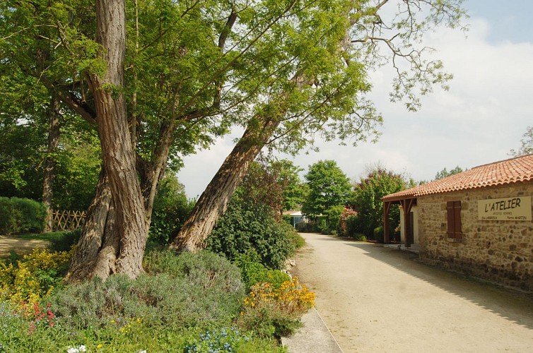 JARDIN BOTANIQUE DE VAULIEU