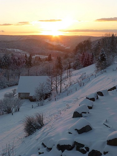Gîte d'étape la Ferme des Plateaux