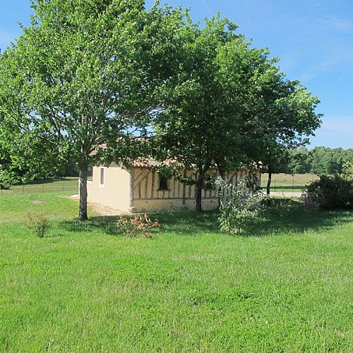 Vue arrière avec colombages dans la campagne