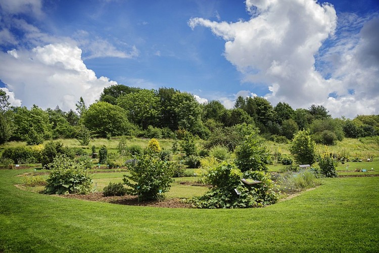 Jardin botanique Jean-Marie Pelt